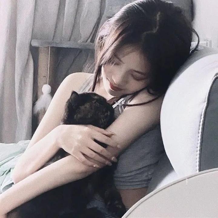 第12届中国电影华表奖